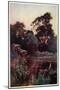Worcester College Garden-William Matthison-Mounted Giclee Print