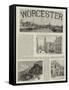 Worcester-null-Framed Stretched Canvas