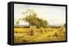 Worcestershire Cornfield-Benjamin Williams Leader-Framed Stretched Canvas