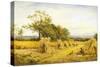 Worcestershire Cornfield-Benjamin Williams Leader-Stretched Canvas