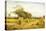 Worcestershire Cornfield-Benjamin Williams Leader-Stretched Canvas