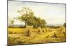 Worcestershire Cornfield-Benjamin Williams Leader-Mounted Giclee Print