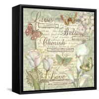 Word 5 Sentiments-Viv Eisner-Framed Stretched Canvas