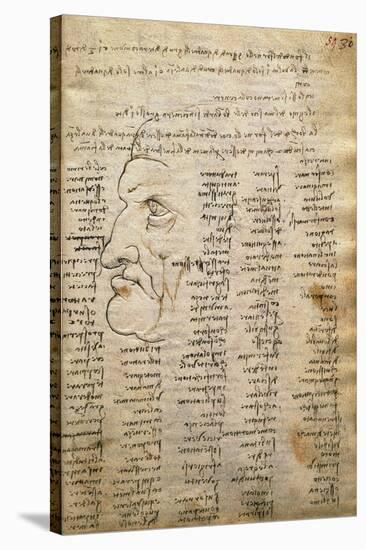 Word List and Male Profile, from Codex Trivulzianus, 1478-1490-Leonardo da Vinci-Stretched Canvas
