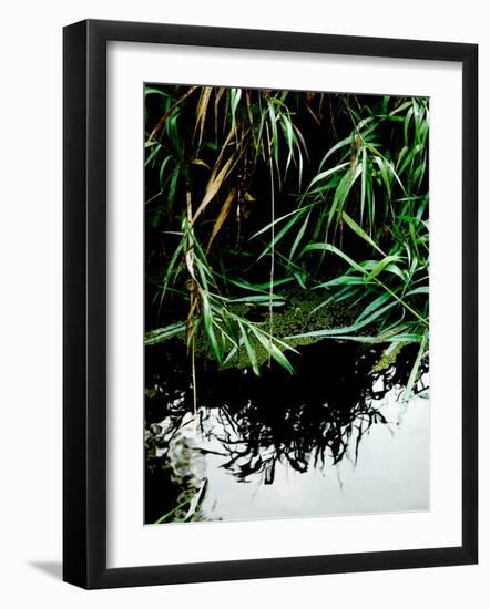 Wordbridge-Tim Kahane-Framed Photographic Print