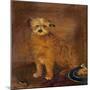 Wordsworth's Dog, Pepper, C.1806-20-null-Mounted Giclee Print