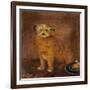 Wordsworth's Dog, Pepper, C.1806-20-null-Framed Giclee Print