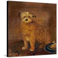 Wordsworth's Dog, Pepper, C.1806-20-null-Stretched Canvas