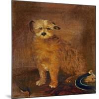 Wordsworth's Dog, Pepper, C.1806-20-null-Mounted Giclee Print