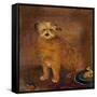 Wordsworth's Dog, Pepper, C.1806-20-null-Framed Stretched Canvas