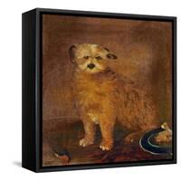 Wordsworth's Dog, Pepper, C.1806-20-null-Framed Stretched Canvas