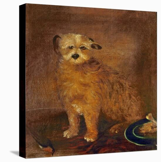 Wordsworth's Dog, Pepper, C.1806-20-null-Stretched Canvas