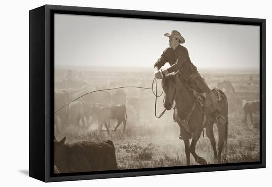 Work Hard Play Hard-Dan Ballard-Framed Stretched Canvas