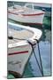 Workboats of Corfu, Greece III-Laura DeNardo-Mounted Photographic Print