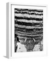 Worker at Pasta Factory Inspecting Spaghetti in Drying Room-Alfred Eisenstaedt-Framed Photographic Print