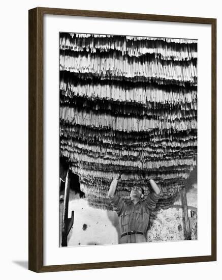 Worker at Pasta Factory Inspecting Spaghetti in Drying Room-Alfred Eisenstaedt-Framed Photographic Print