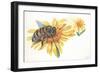 Worker Bee Apis Mellifica Sucking Nectar and Pollen from Flower-null-Framed Giclee Print