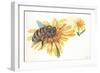 Worker Bee Apis Mellifica Sucking Nectar and Pollen from Flower-null-Framed Giclee Print