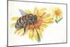 Worker Bee Apis Mellifica Sucking Nectar and Pollen from Flower-null-Mounted Giclee Print