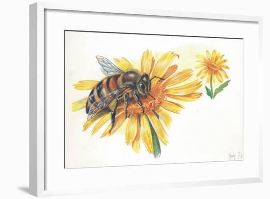 Worker Bee Apis Mellifica Sucking Nectar and Pollen from Flower-null-Framed Giclee Print