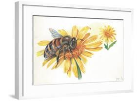 Worker Bee Apis Mellifica Sucking Nectar and Pollen from Flower-null-Framed Giclee Print