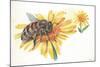 Worker Bee Apis Mellifica Sucking Nectar and Pollen from Flower-null-Mounted Giclee Print