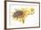 Worker Bee Apis Mellifica Sucking Nectar and Pollen from Flower-null-Framed Giclee Print