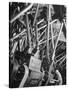 Worker Checking Quality Control at Flour Mill-Margaret Bourke-White-Stretched Canvas