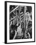 Worker Checking Quality Control at Flour Mill-Margaret Bourke-White-Framed Photographic Print