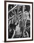 Worker Checking Quality Control at Flour Mill-Margaret Bourke-White-Framed Photographic Print