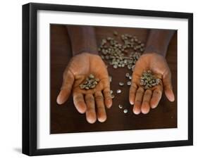 Worker from the Plantation 'Roca Nova Moka' in Sao Tomé Holds Some Coffee Beans-Camilla Watson-Framed Photographic Print