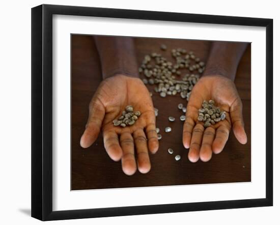 Worker from the Plantation 'Roca Nova Moka' in Sao Tomé Holds Some Coffee Beans-Camilla Watson-Framed Photographic Print