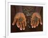 Worker from the Plantation 'Roca Nova Moka' in Sao Tomé Holds Some Coffee Beans-Camilla Watson-Framed Photographic Print