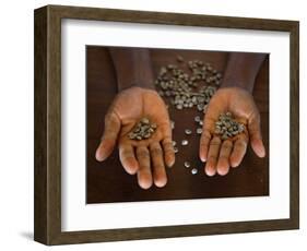 Worker from the Plantation 'Roca Nova Moka' in Sao Tomé Holds Some Coffee Beans-Camilla Watson-Framed Photographic Print