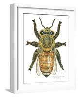 Worker Honey Bee-Tim Knepp-Framed Giclee Print