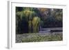 Worker in Boat Cleaning Green Lake, Kunming China-Darrell Gulin-Framed Photographic Print