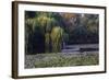 Worker in Boat Cleaning Green Lake, Kunming China-Darrell Gulin-Framed Photographic Print