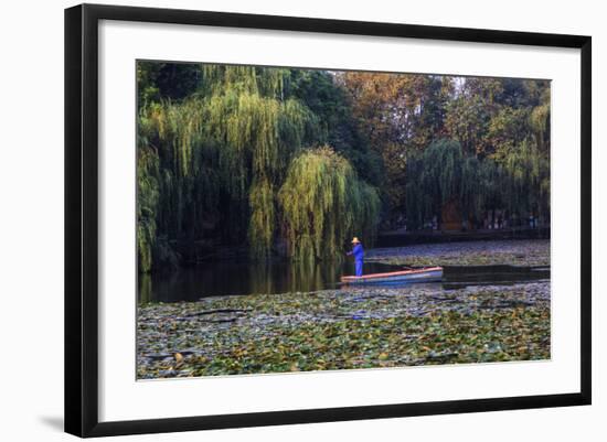 Worker in Boat Cleaning Green Lake, Kunming China-Darrell Gulin-Framed Photographic Print