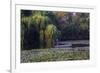 Worker in Boat Cleaning Green Lake, Kunming China-Darrell Gulin-Framed Photographic Print