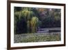 Worker in Boat Cleaning Green Lake, Kunming China-Darrell Gulin-Framed Photographic Print