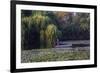 Worker in Boat Cleaning Green Lake, Kunming China-Darrell Gulin-Framed Photographic Print