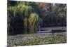 Worker in Boat Cleaning Green Lake, Kunming China-Darrell Gulin-Mounted Photographic Print