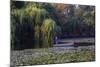 Worker in Boat Cleaning Green Lake, Kunming China-Darrell Gulin-Mounted Photographic Print