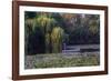 Worker in Boat Cleaning Green Lake, Kunming China-Darrell Gulin-Framed Photographic Print