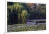 Worker in Boat Cleaning Green Lake, Kunming China-Darrell Gulin-Framed Photographic Print