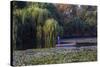 Worker in Boat Cleaning Green Lake, Kunming China-Darrell Gulin-Stretched Canvas