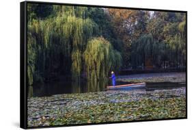Worker in Boat Cleaning Green Lake, Kunming China-Darrell Gulin-Framed Stretched Canvas