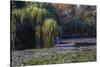 Worker in Boat Cleaning Green Lake, Kunming China-Darrell Gulin-Stretched Canvas