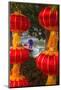 Worker in Boat Cleaning Green Lake, Kunming China-Darrell Gulin-Mounted Photographic Print