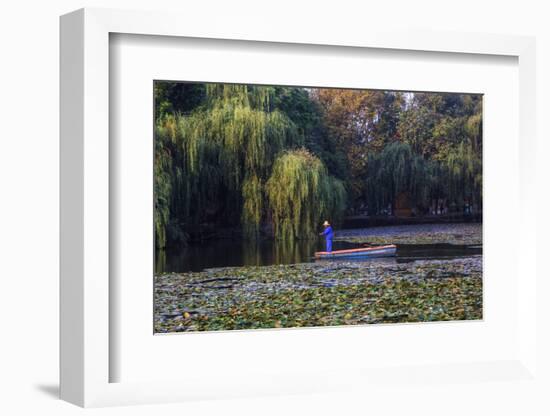 Worker in Boat Cleaning Green Lake, Kunming China-Darrell Gulin-Framed Photographic Print